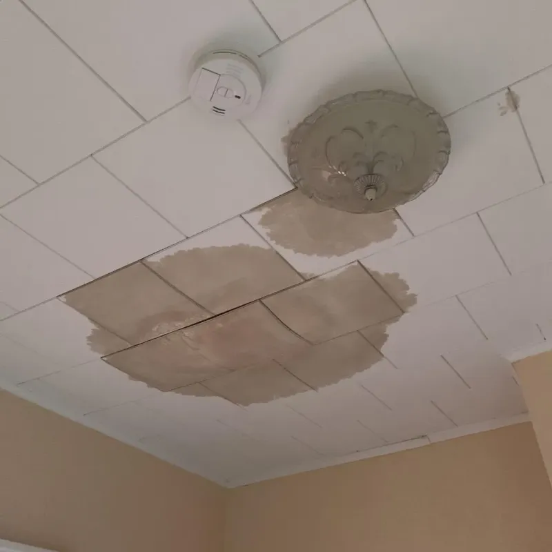 Ceiling Water Damage Repair in Lockney, TX