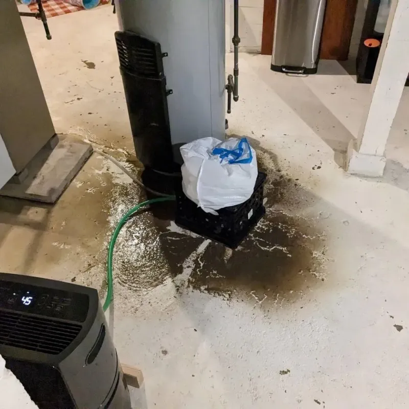 Sewage Backup Cleanup Service in Lockney, TX